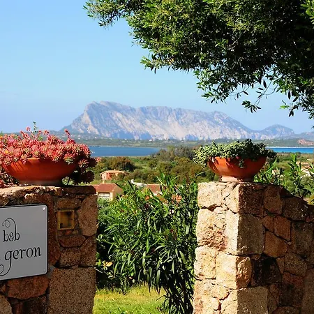 Geron * San Teodoro (Sardinia)